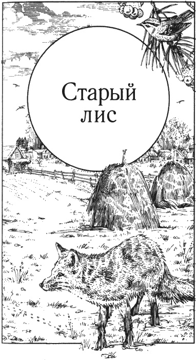 Долгая дорога домой Долгая дорога домой