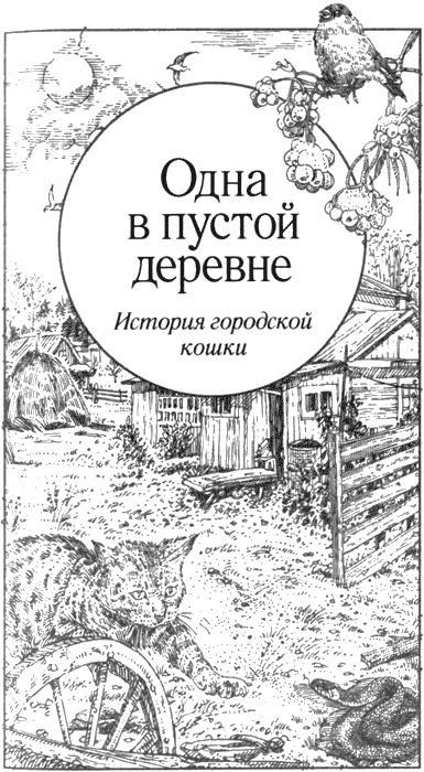 Долгая дорога домой Долгая дорога домой