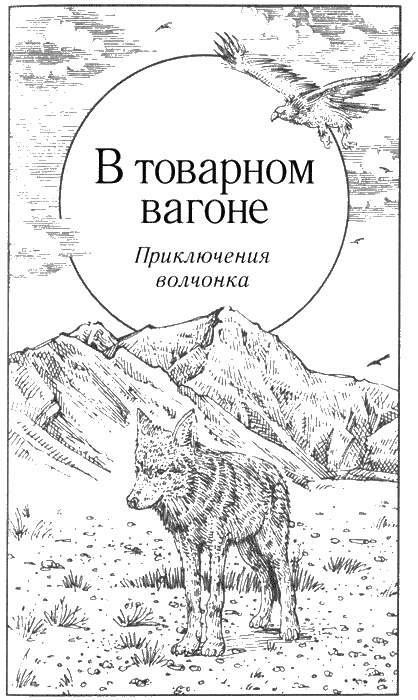 Долгая дорога домой Долгая дорога домой