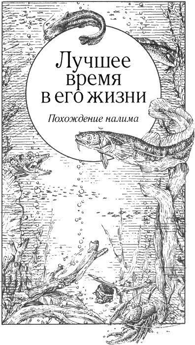 Долгая дорога домой Долгая дорога домой