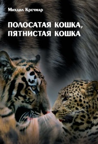 Полосатая кошка, пятнистая кошка - Михаил Кречмар - Читать книги онлайн | Слушать аудиокниги онлайн | Электронная библиотека books-lib.com