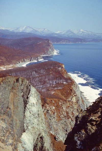 Полосатая кошка, пятнистая кошка Полосатая кошка, пятнистая кошка