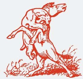 Полосатая кошка, пятнистая кошка Полосатая кошка, пятнистая кошка