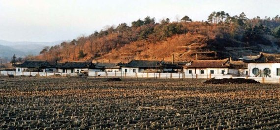 Полосатая кошка, пятнистая кошка Полосатая кошка, пятнистая кошка