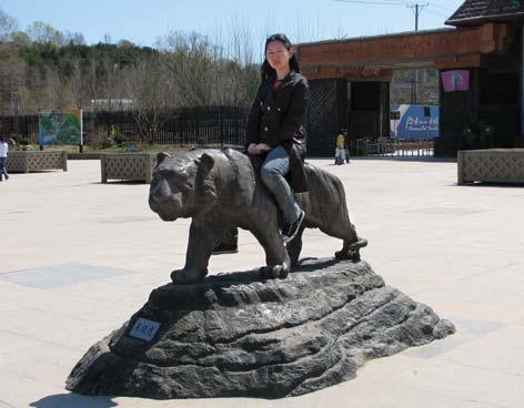 Полосатая кошка, пятнистая кошка Полосатая кошка, пятнистая кошка