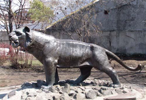 Полосатая кошка, пятнистая кошка Полосатая кошка, пятнистая кошка