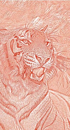 Полосатая кошка, пятнистая кошка Полосатая кошка, пятнистая кошка
