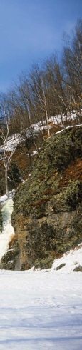 Полосатая кошка, пятнистая кошка Полосатая кошка, пятнистая кошка