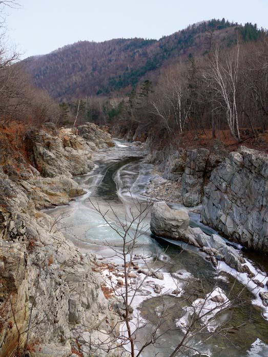 Полосатая кошка, пятнистая кошка Полосатая кошка, пятнистая кошка