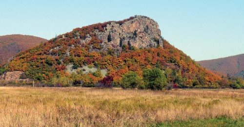 Полосатая кошка, пятнистая кошка Полосатая кошка, пятнистая кошка