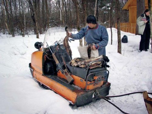 Полосатая кошка, пятнистая кошка Полосатая кошка, пятнистая кошка