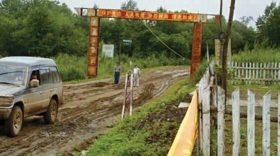 Полосатая кошка, пятнистая кошка Полосатая кошка, пятнистая кошка