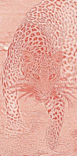 Полосатая кошка, пятнистая кошка Полосатая кошка, пятнистая кошка
