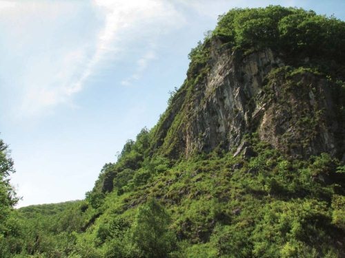 Полосатая кошка, пятнистая кошка Полосатая кошка, пятнистая кошка