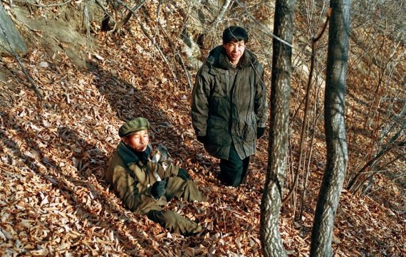 Полосатая кошка, пятнистая кошка Полосатая кошка, пятнистая кошка