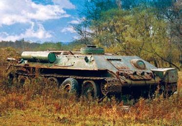Полосатая кошка, пятнистая кошка Полосатая кошка, пятнистая кошка