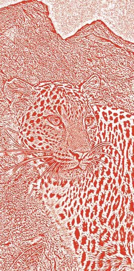 Полосатая кошка, пятнистая кошка Полосатая кошка, пятнистая кошка