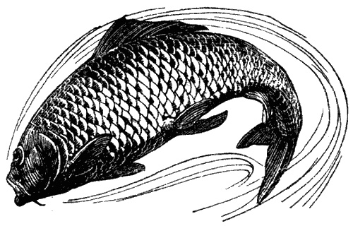 Кумаонские людоеды Кумаонские людоеды