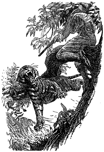 Кумаонские людоеды Кумаонские людоеды