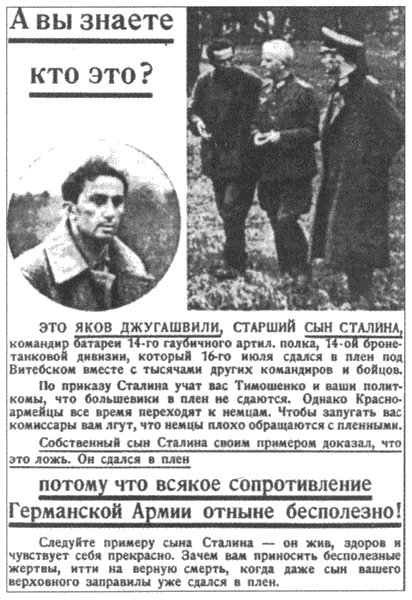 Плен. Жизнь и смерть в немецких лагерях Плен. Жизнь и смерть в немецких лагерях