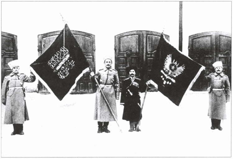 Захвачены в бою. Трофеи русской армии в Первой мировой Захвачены в бою. Трофеи русской армии в Первой мировой