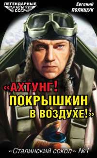 &quot;Ахтунг! Покрышкин в воздухе!&quot;. &quot;Сталинский сокол&quot; №1 - Евгений Полищук - Читать книги онлайн | Слушать аудиокниги онлайн | Электронная библиотека books-lib.com