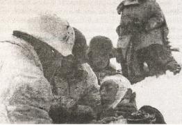 1943. Дивизия СС "Рейх" на Восточном фронте 1943. Дивизия СС "Рейх" на Восточном фронте