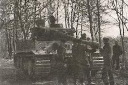 1943. Дивизия СС "Рейх" на Восточном фронте 1943. Дивизия СС "Рейх" на Восточном фронте