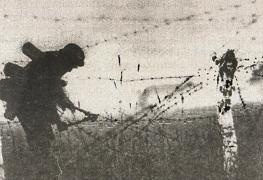 1943. Дивизия СС "Рейх" на Восточном фронте 1943. Дивизия СС "Рейх" на Восточном фронте