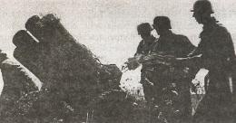 1943. Дивизия СС "Рейх" на Восточном фронте 1943. Дивизия СС "Рейх" на Восточном фронте