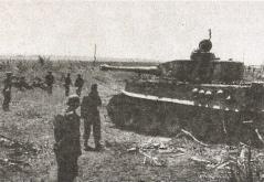1943. Дивизия СС "Рейх" на Восточном фронте 1943. Дивизия СС "Рейх" на Восточном фронте