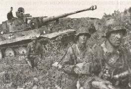 1943. Дивизия СС "Рейх" на Восточном фронте 1943. Дивизия СС "Рейх" на Восточном фронте