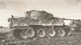 1943. Дивизия СС "Рейх" на Восточном фронте 1943. Дивизия СС "Рейх" на Восточном фронте