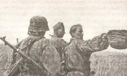 1943. Дивизия СС "Рейх" на Восточном фронте 1943. Дивизия СС "Рейх" на Восточном фронте