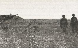 1943. Дивизия СС "Рейх" на Восточном фронте 1943. Дивизия СС "Рейх" на Восточном фронте