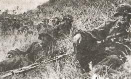 1943. Дивизия СС "Рейх" на Восточном фронте 1943. Дивизия СС "Рейх" на Восточном фронте