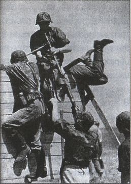 38-я гренадерская дивизия СС «Нибелунги» 38-я гренадерская дивизия СС «Нибелунги»