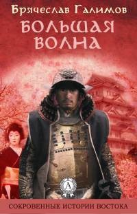 Большая волна - Галимов Брячеслав - Читать книги онлайн | Слушать аудиокниги онлайн | Электронная библиотека books-lib.com