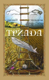 Триада: Кружение. Врачебница. Детский сад - Евгений Чепкасов - Читать книги онлайн | Слушать аудиокниги онлайн | Электронная библиотека books-lib.com