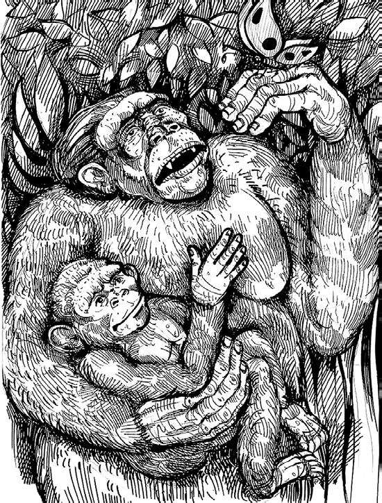 Разные человечества. Эволюция. Разум. Антропология Разные человечества. Эволюция. Разум. Антропология