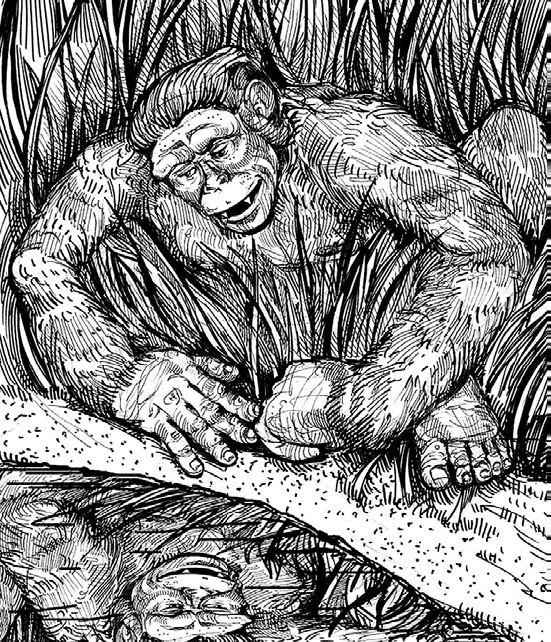 Разные человечества. Эволюция. Разум. Антропология Разные человечества. Эволюция. Разум. Антропология