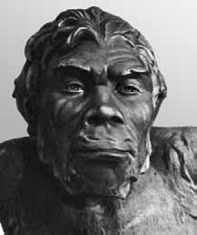 Разные человечества. Эволюция. Разум. Антропология Разные человечества. Эволюция. Разум. Антропология