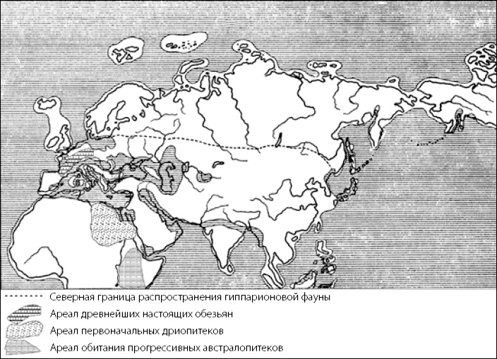 Разные человечества. Эволюция. Разум. Антропология Разные человечества. Эволюция. Разум. Антропология