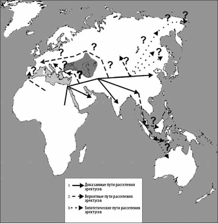 Разные человечества. Эволюция. Разум. Антропология Разные человечества. Эволюция. Разум. Антропология