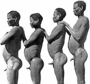 Разные человечества. Эволюция. Разум. Антропология Разные человечества. Эволюция. Разум. Антропология