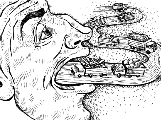 Человек третьего тысячелетия. Эволюция. Разум. Антропология Человек третьего тысячелетия. Эволюция. Разум. Антропология