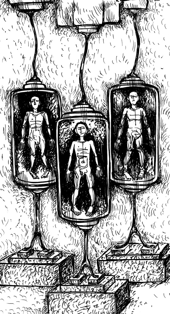 Человек третьего тысячелетия. Эволюция. Разум. Антропология Человек третьего тысячелетия. Эволюция. Разум. Антропология