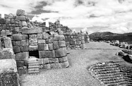 Разум и цивилизация, или Мерцание в темноте. Эволюция. Разум. Антропология Разум и цивилизация, или Мерцание в темноте. Эволюция. Разум. Антропология