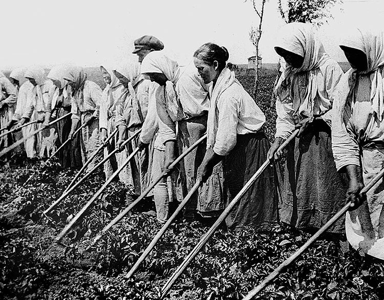 Зубы дракона. Мои 30-е годы Зубы дракона. Мои 30-е годы