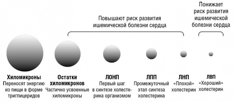 Здоровое сердце. Издание XXI века Здоровое сердце. Издание XXI века